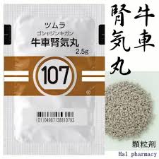 牛车肾气丸 2.5g（107） 42包（14日分） ツムラ牛車腎気丸エキス顆粒 津村 汉方